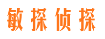 高陵市私家侦探